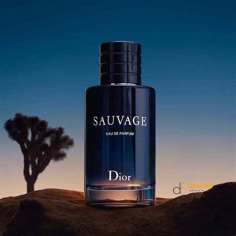 sauvage dior buy|dior sauvage decant.